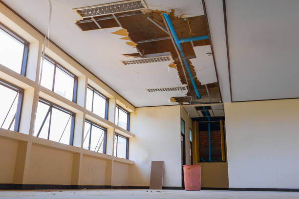 Best Carpet water damage restoration  in Oakland, PA