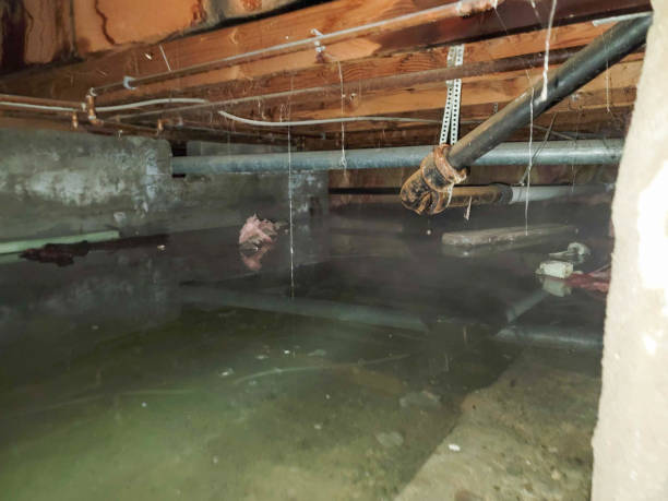 Best Residential water damage restoration  in Oakland, PA