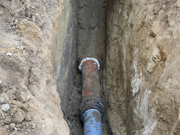 Best Flood damage cleanup  in Oakland, PA