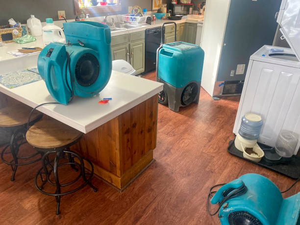 Best Flooded house restoration  in Oakland, PA