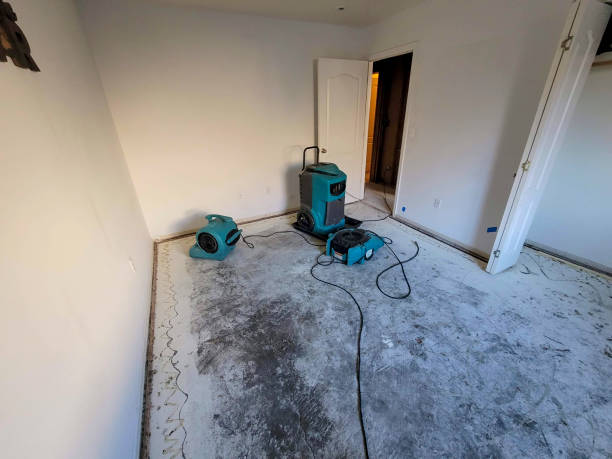 Best Water damage restoration experts  in Oakland, PA