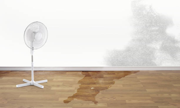 Best Water damage contractors near me  in Oakland, PA