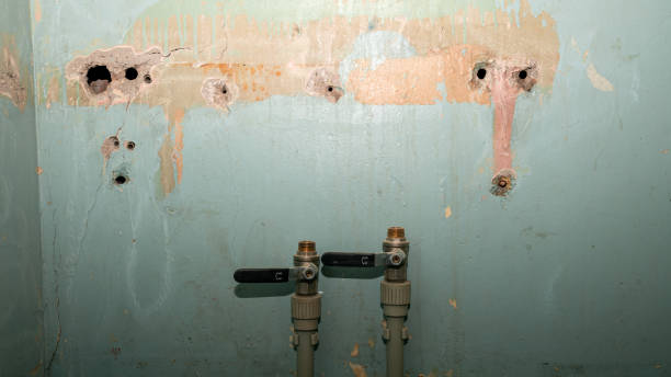 Best Sewage cleanup and water damage restoration  in Oakland, PA